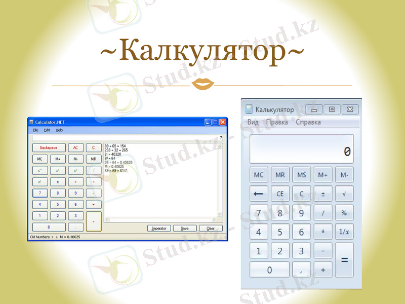 Slide 11