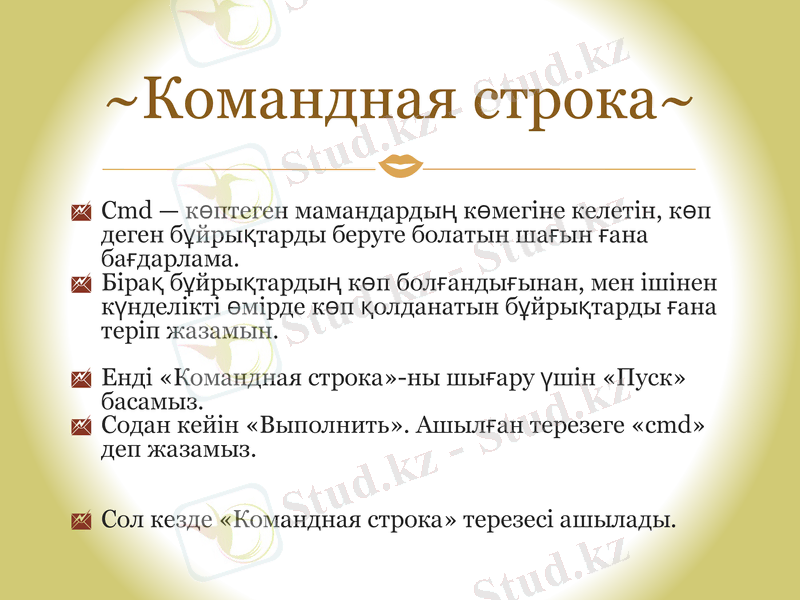 Slide 13