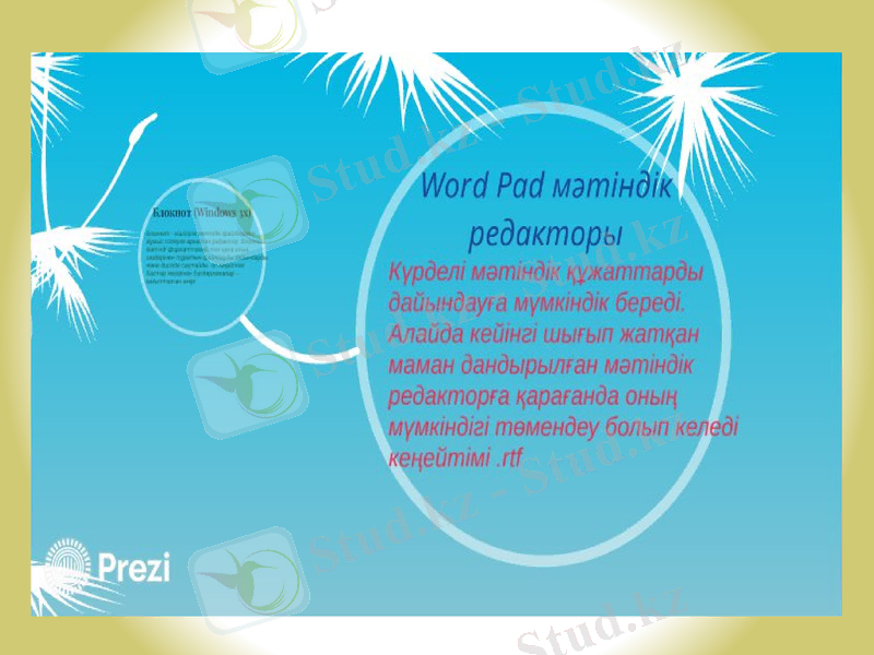 Slide 5