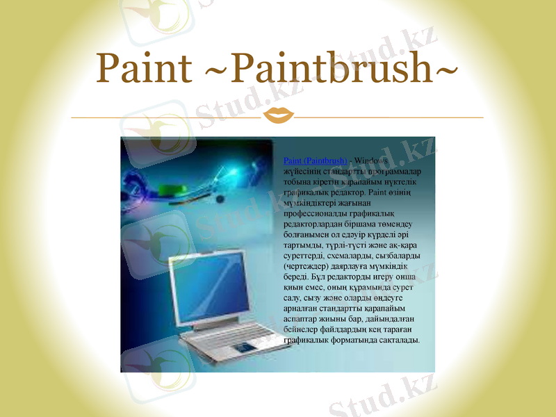 Slide 6