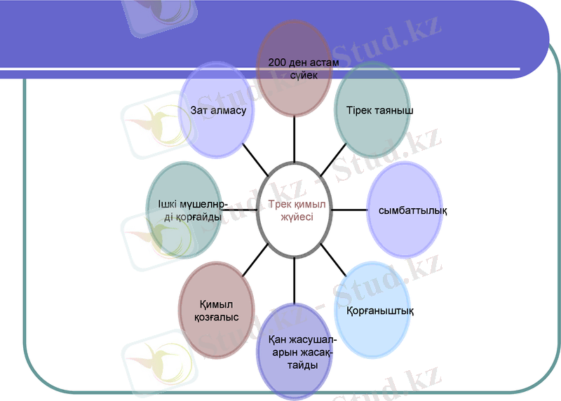 Slide 10