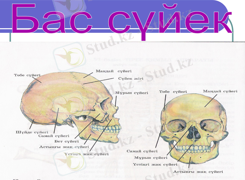 Slide 13