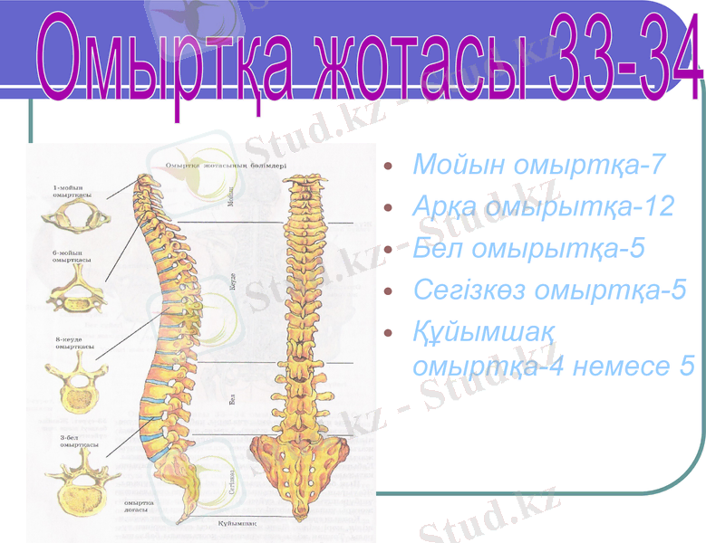 Slide 14