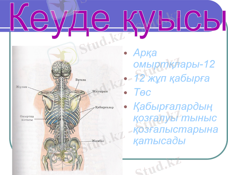 Slide 15