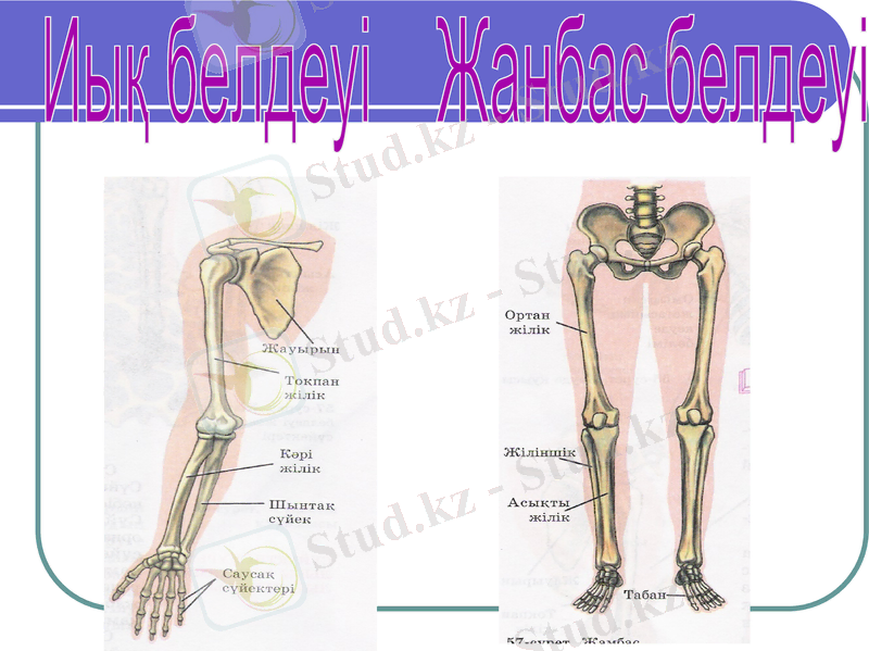 Slide 16