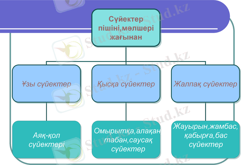 Slide 18