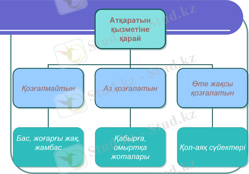 Slide 19