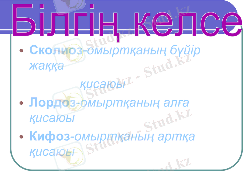 Slide 20