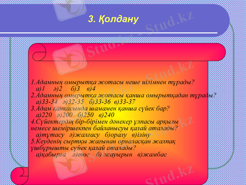 Slide 21