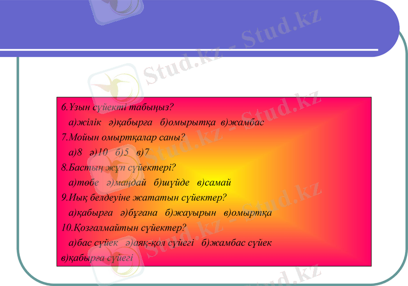 Slide 22