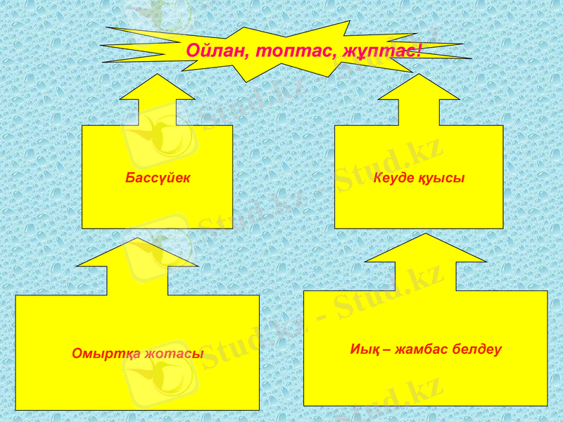 Slide 23