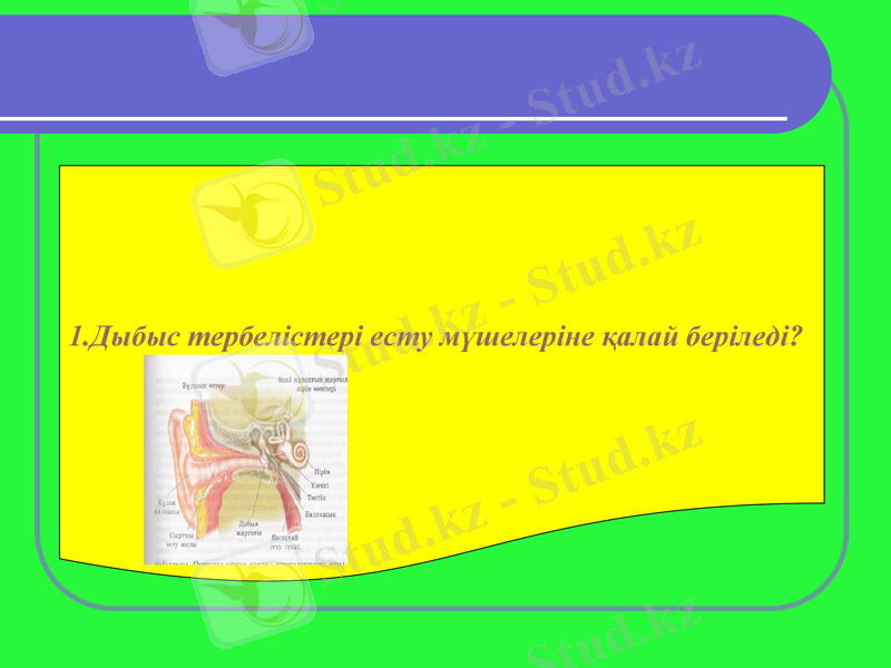 Slide 25