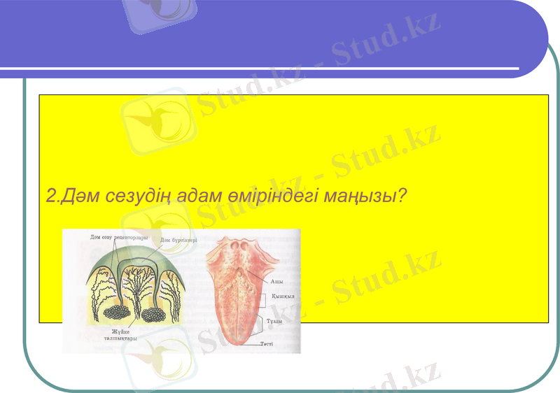 Slide 27