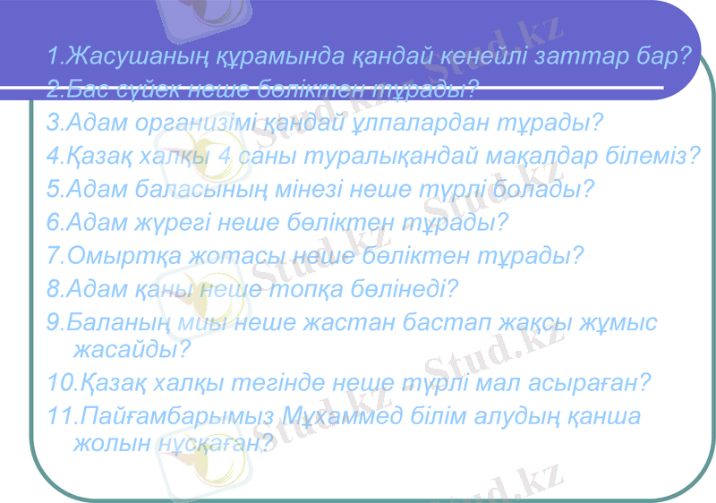 Slide 29