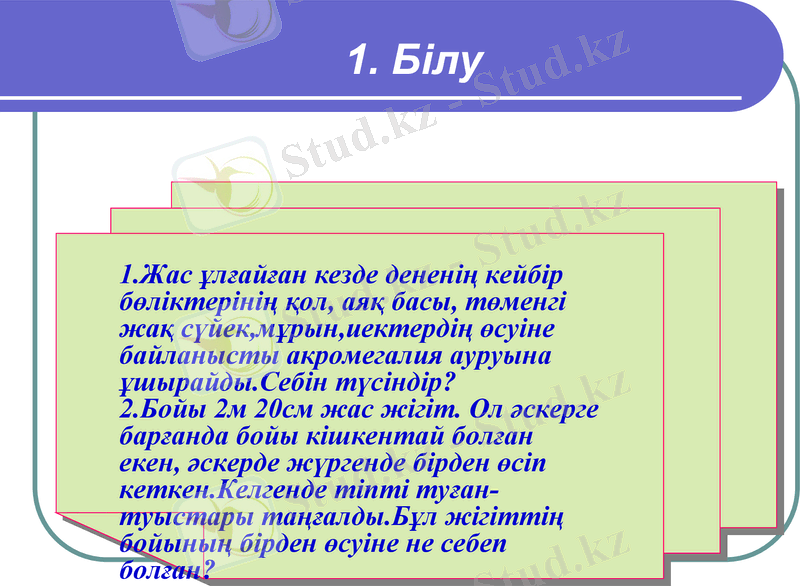 Slide 7