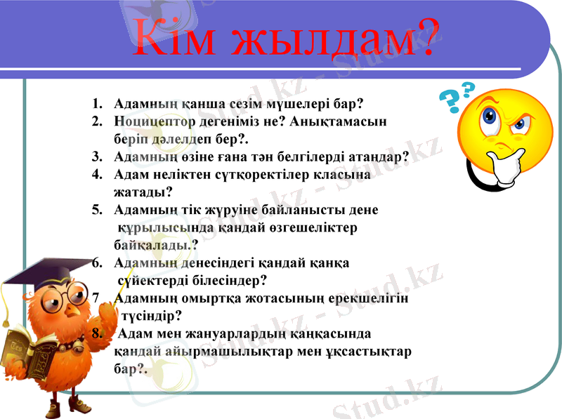 Slide 8