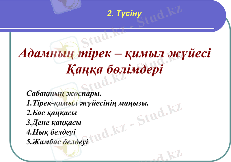 Slide 9
