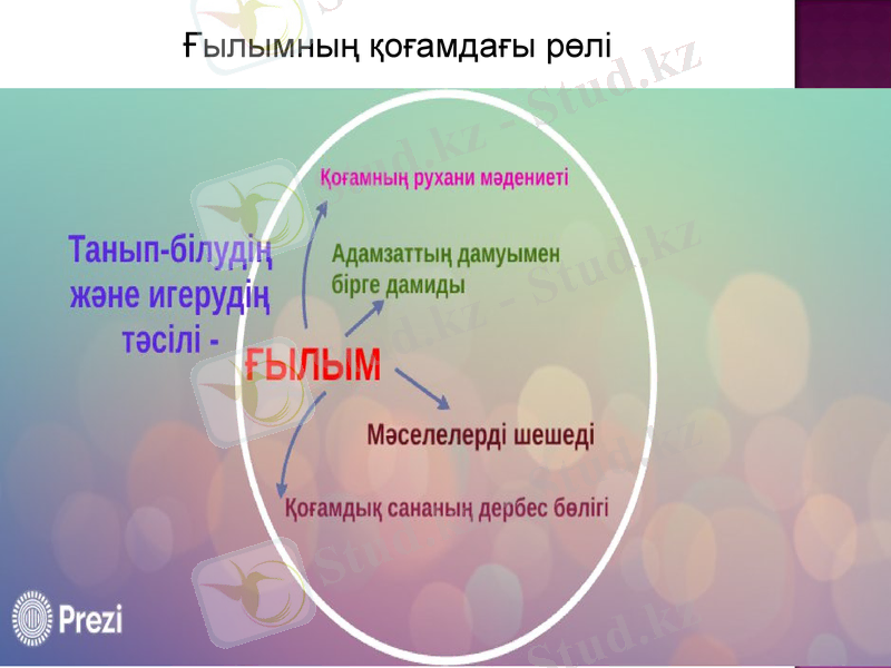 Slide 3