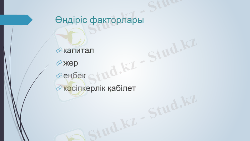 Slide 6