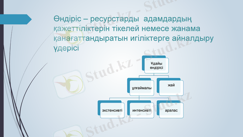 Slide 7