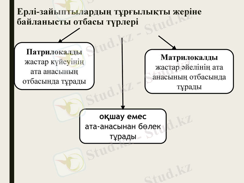 Slide 10