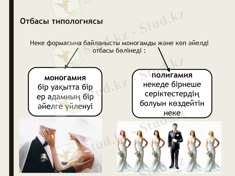Slide 7