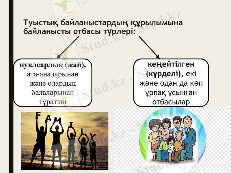 Slide 8