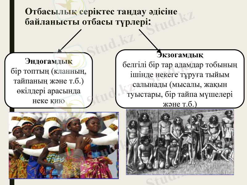 Slide 9