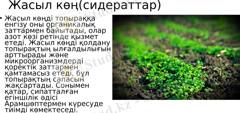 Slide 6