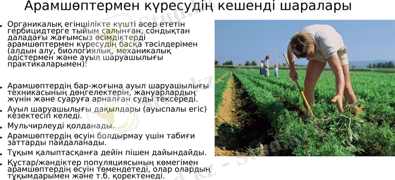Slide 8