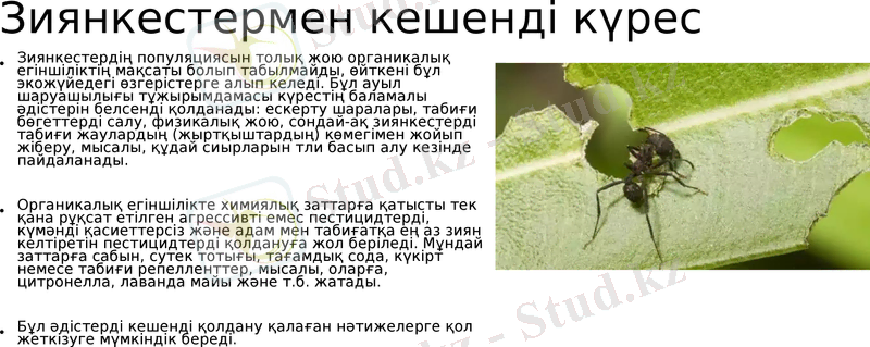 Slide 9