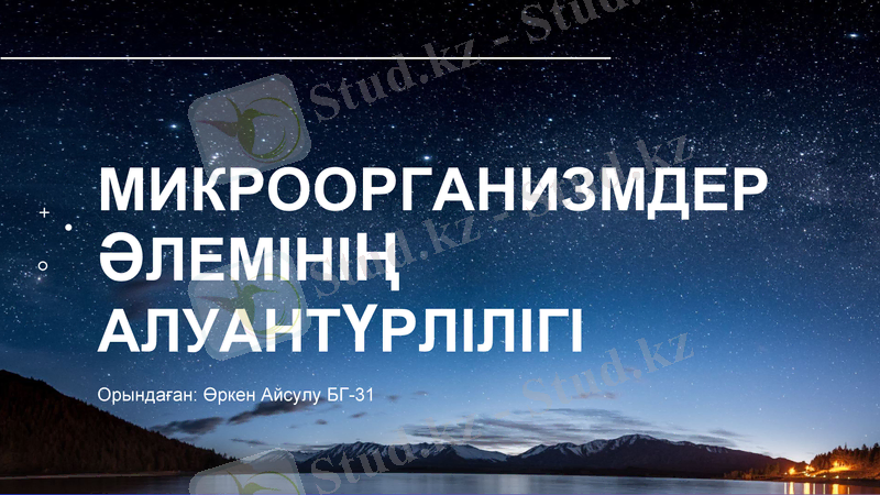 Slide 1