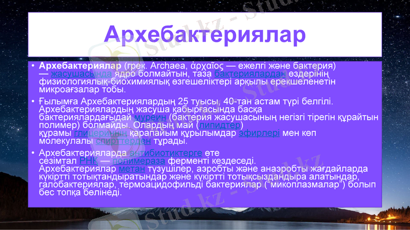 Slide 11