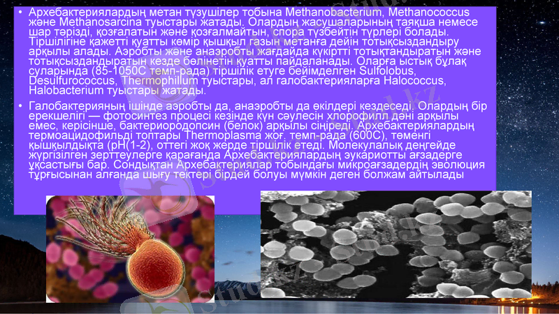 Slide 12