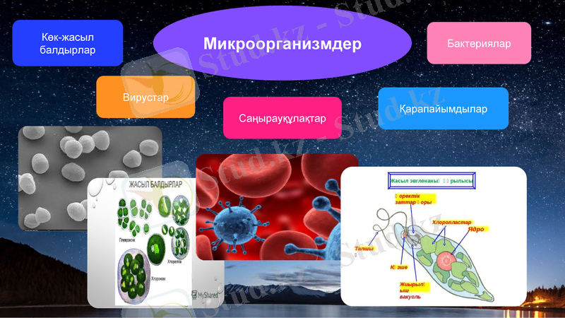 Slide 3