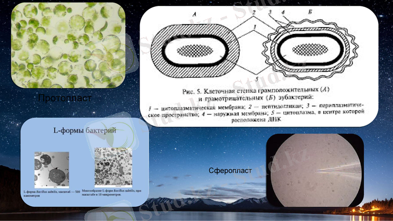 Slide 6