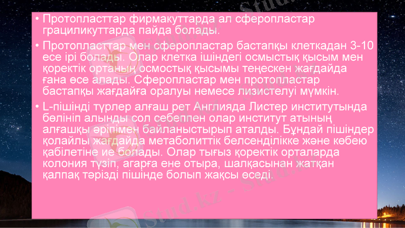 Slide 7