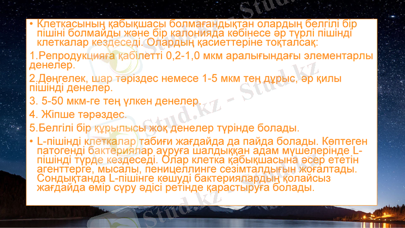 Slide 8