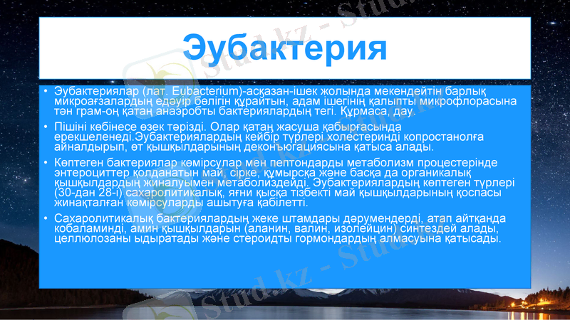 Slide 9