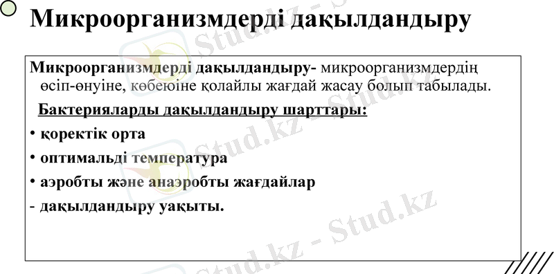 Slide 10