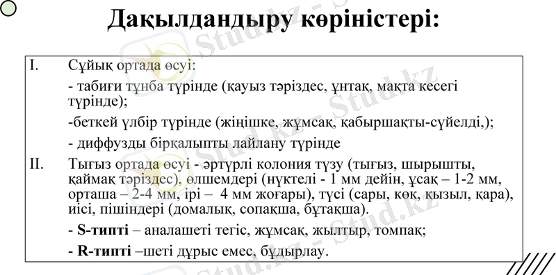 Slide 11