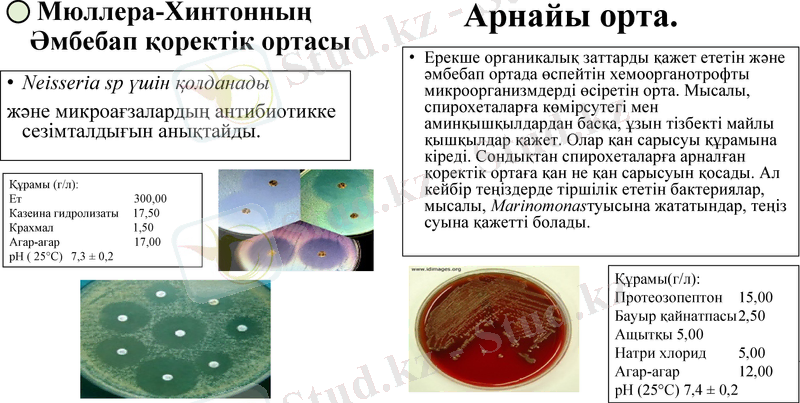 Slide 7