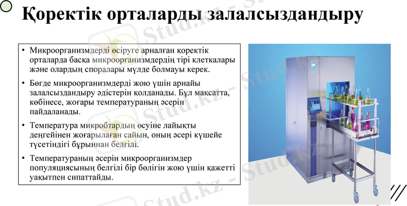 Slide 9