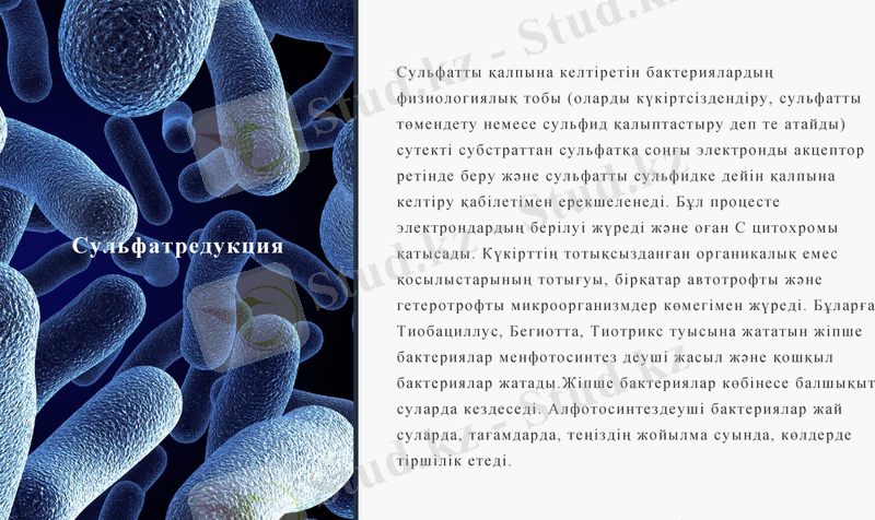 Slide 10