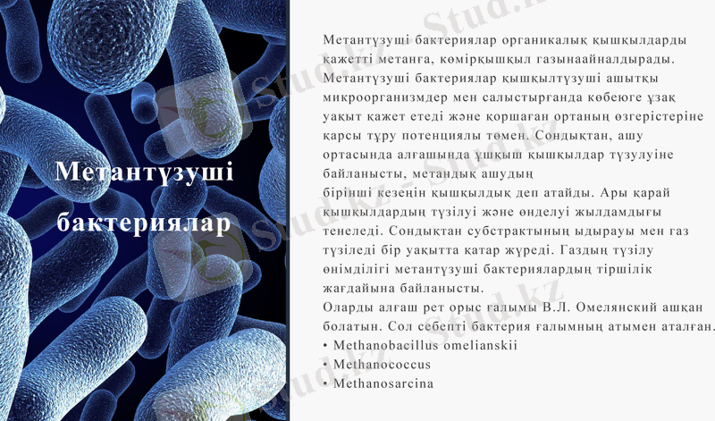 Slide 11