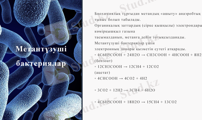 Slide 12