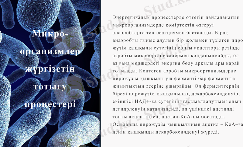Slide 13