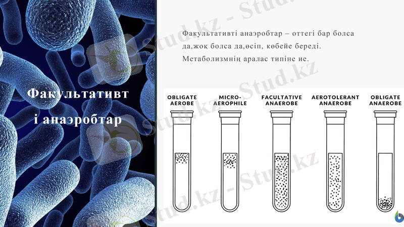 Slide 7