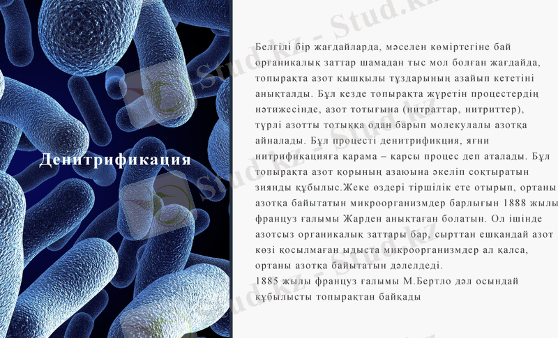 Slide 9