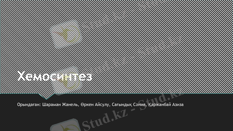 Slide 1